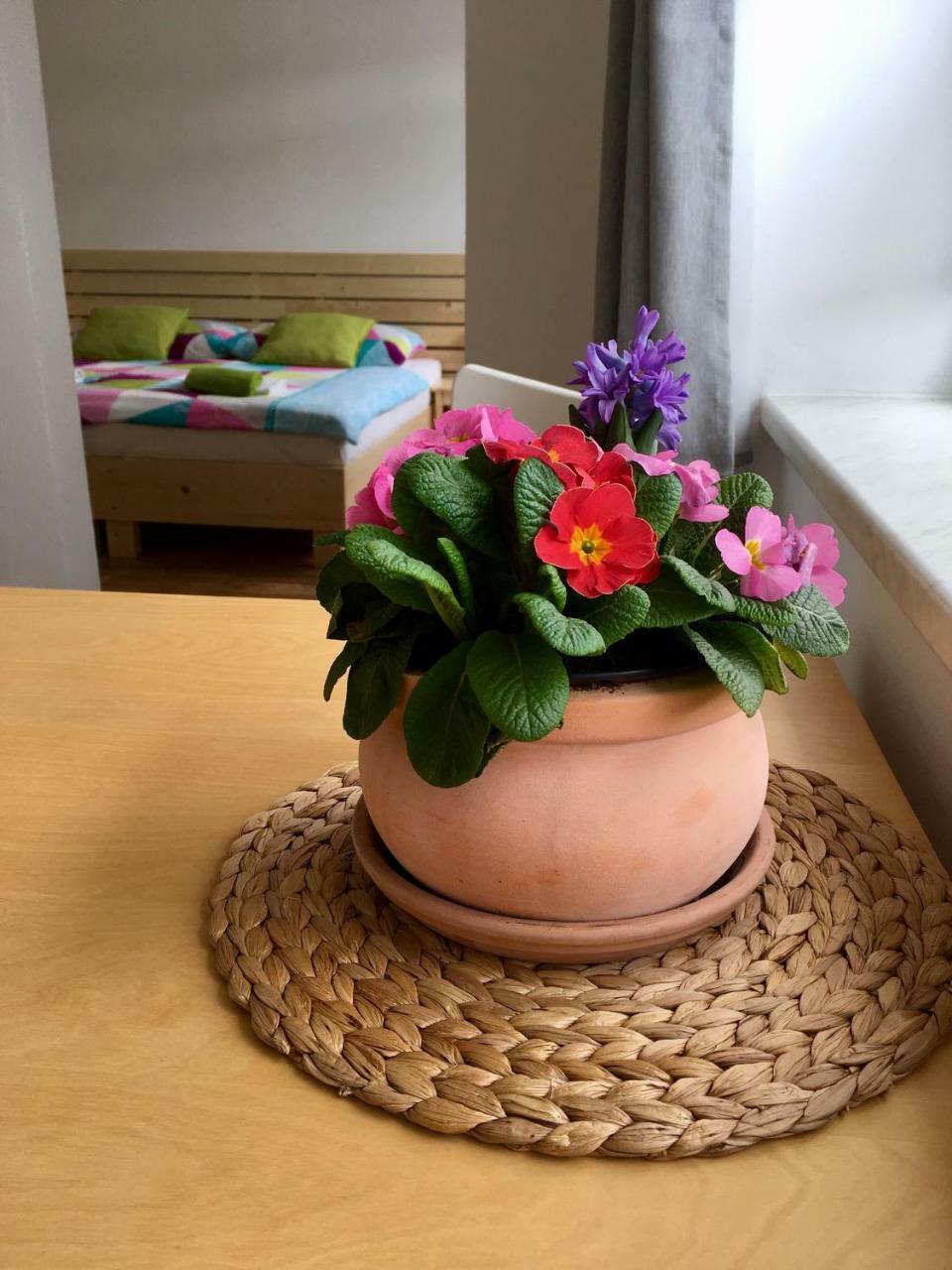 Apartmany A Ubytovani Mlynice Литовел Екстериор снимка